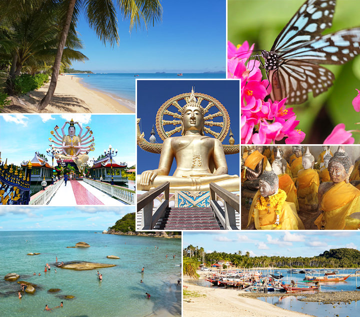 Koh Samui Urlaub Highlights