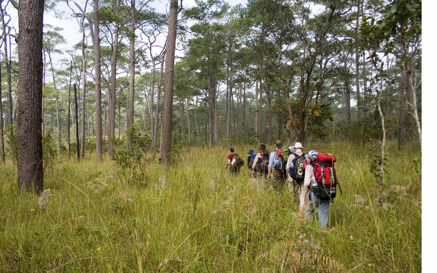 Kardamom-Gebirge nahe Koh Kong